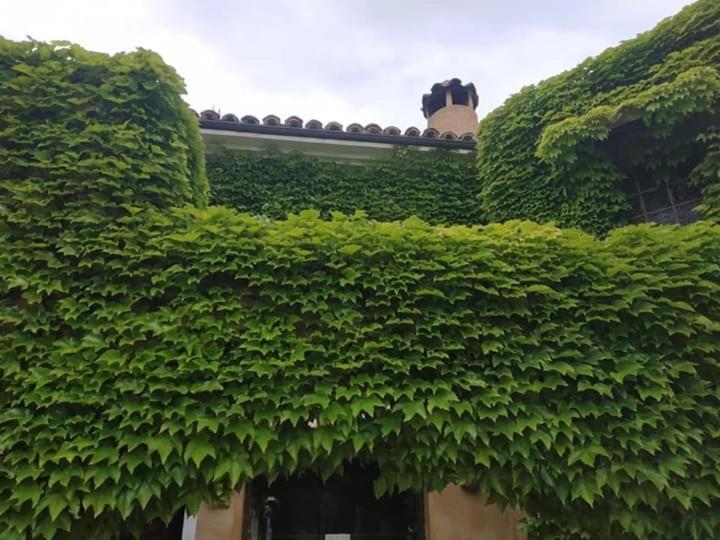 Hotel La De Lalola